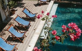 Tipsea Turtle Gili Air